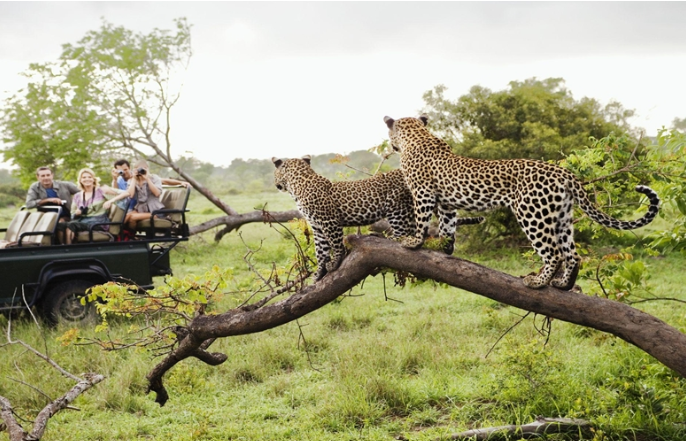 photo tour in Kenya